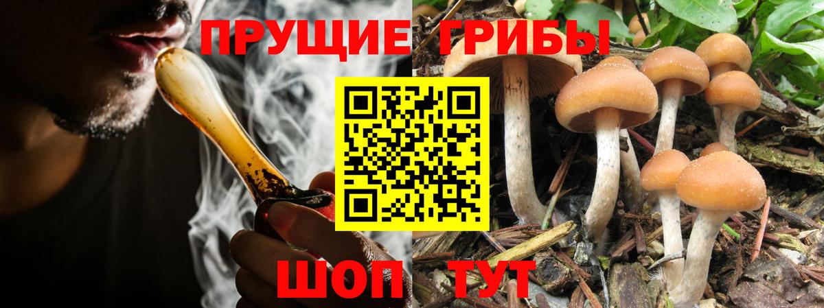 Псилоцибиновые грибы ЛСД Коркино