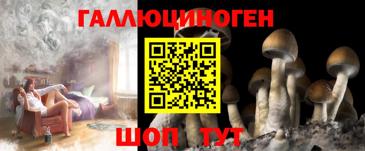 Галлюциногенные грибы Magic Shrooms  Вход с VPN  Коркино 