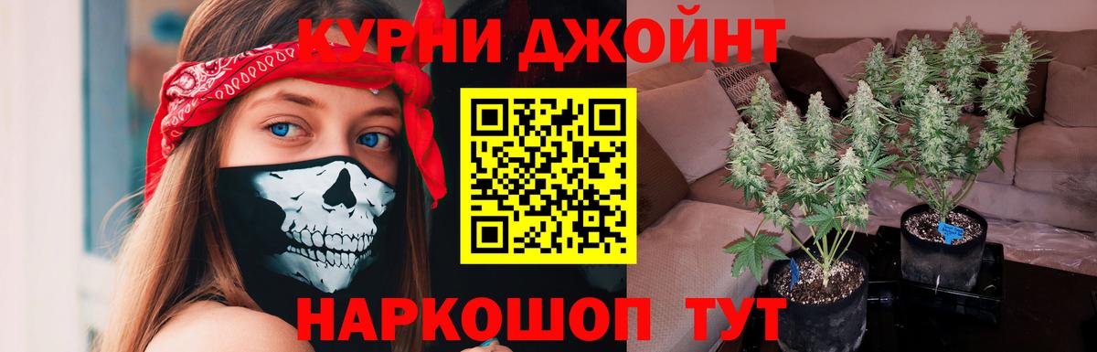 Шишки марихуана SATIVA & INDICA  Вход с VPN  Коркино  Шишки марихуана Amnesia  Конопля Bruce Banner 